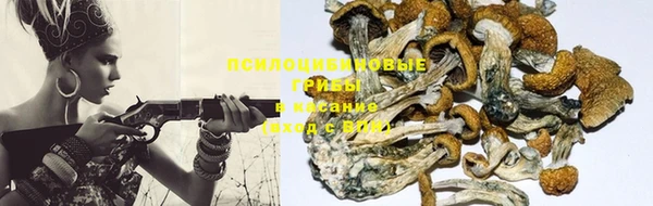 метадон Сосновоборск