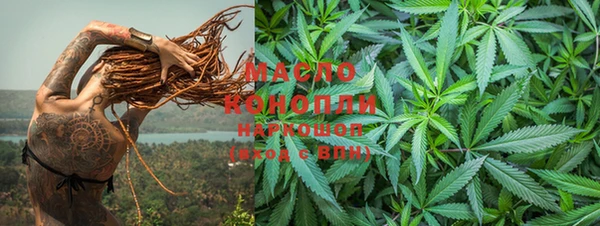 хмурый Сосновый Бор